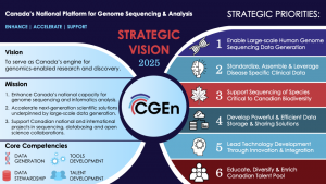 An overview of CGEn's Strategic Vision 2025 - including 6 main priorities for 2021-2025
